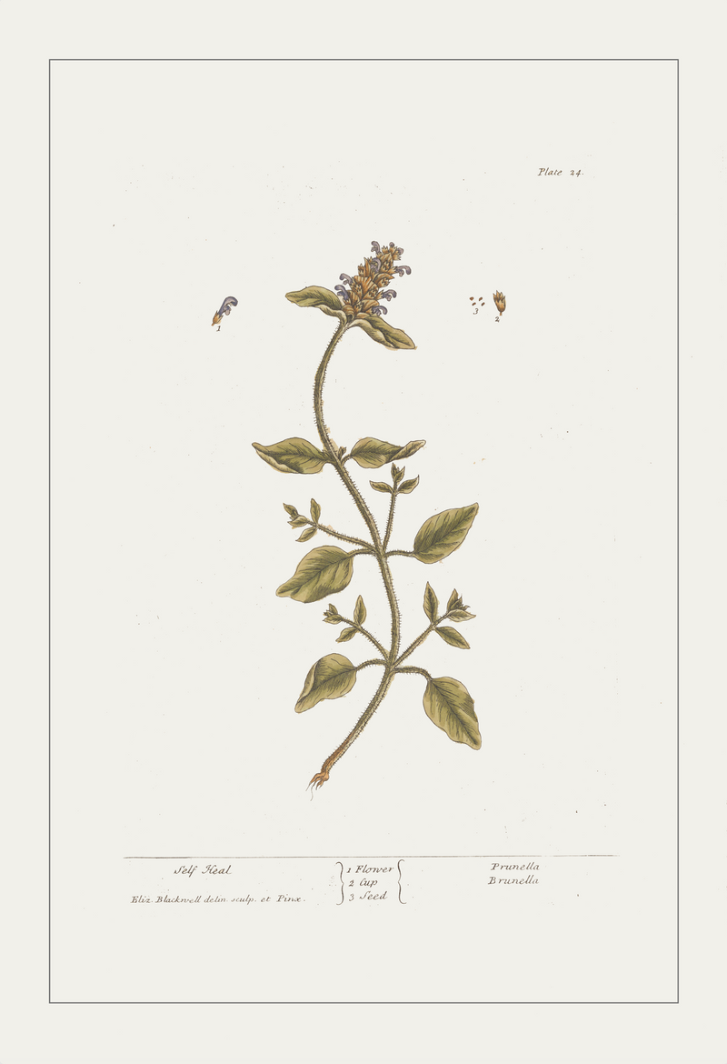 Selfheal