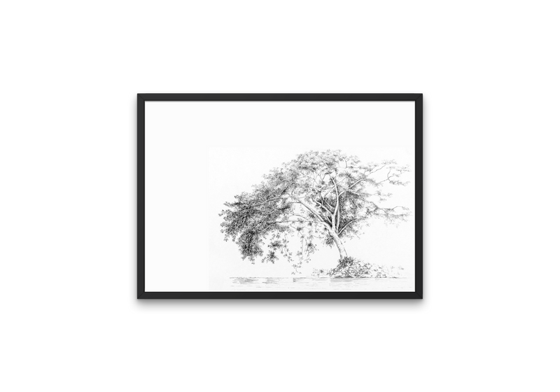 Arbol - Daniela Mejia
