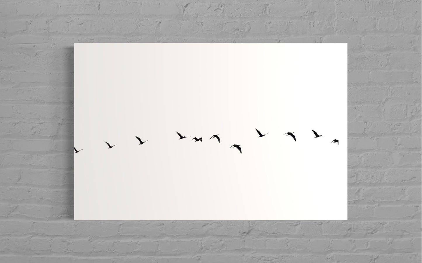 Free Bird III - Felipe Rey