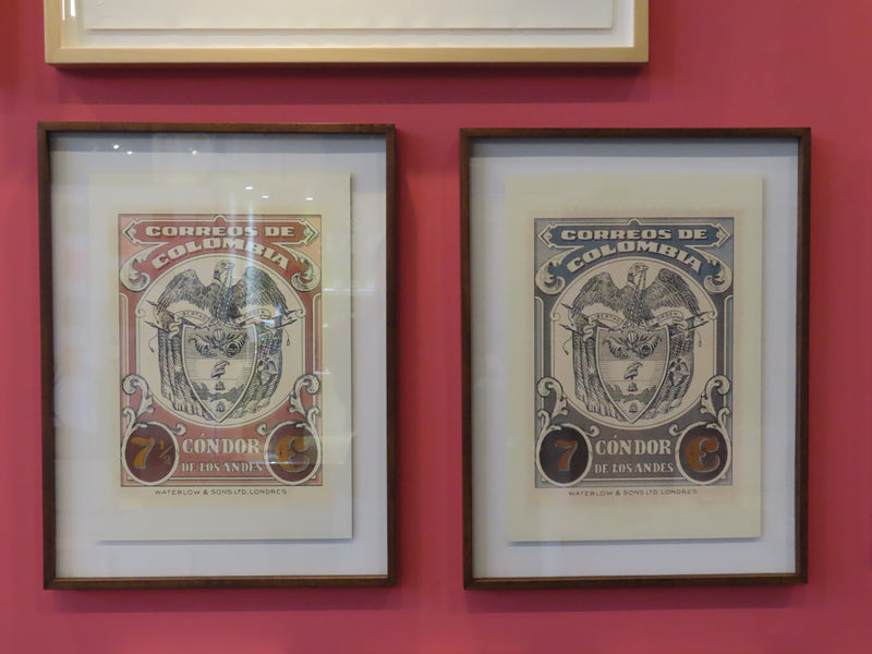 Cóndores Oro (Azul) - Rodrigo Spinel