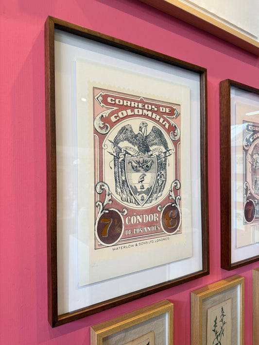 Cóndores Oro (Rojo) - Rodrigo Spinel