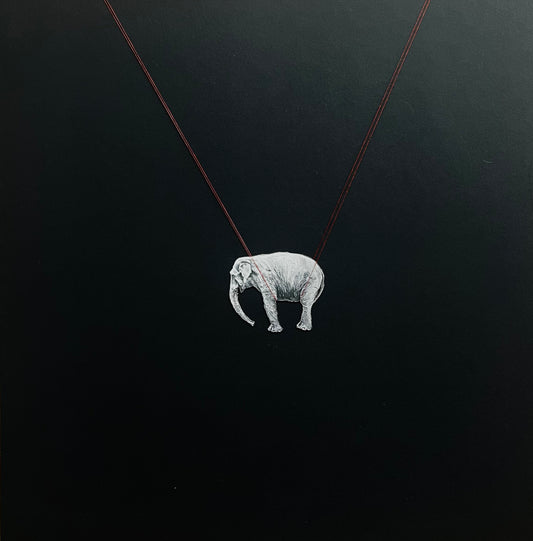 Carga Pesada (Negro)- Carlos Alarcón