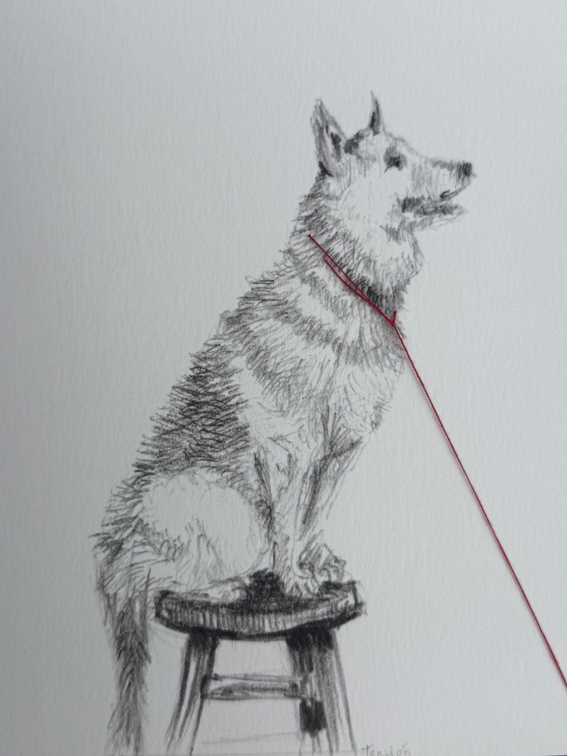 Tensión 1 - Carlos Alarcón