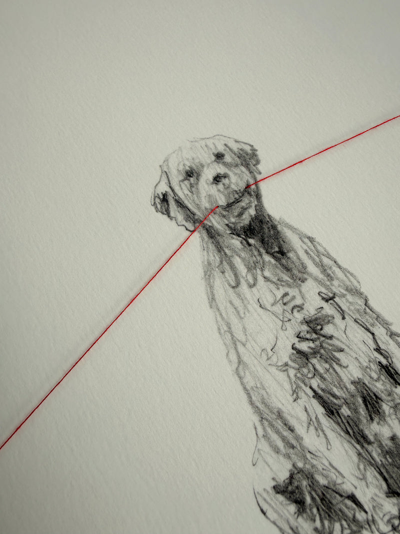 Tensión 2 - Carlos Alarcón