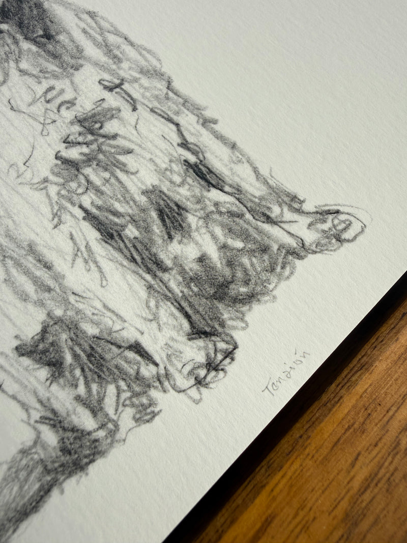 Tensión 2 - Carlos Alarcón