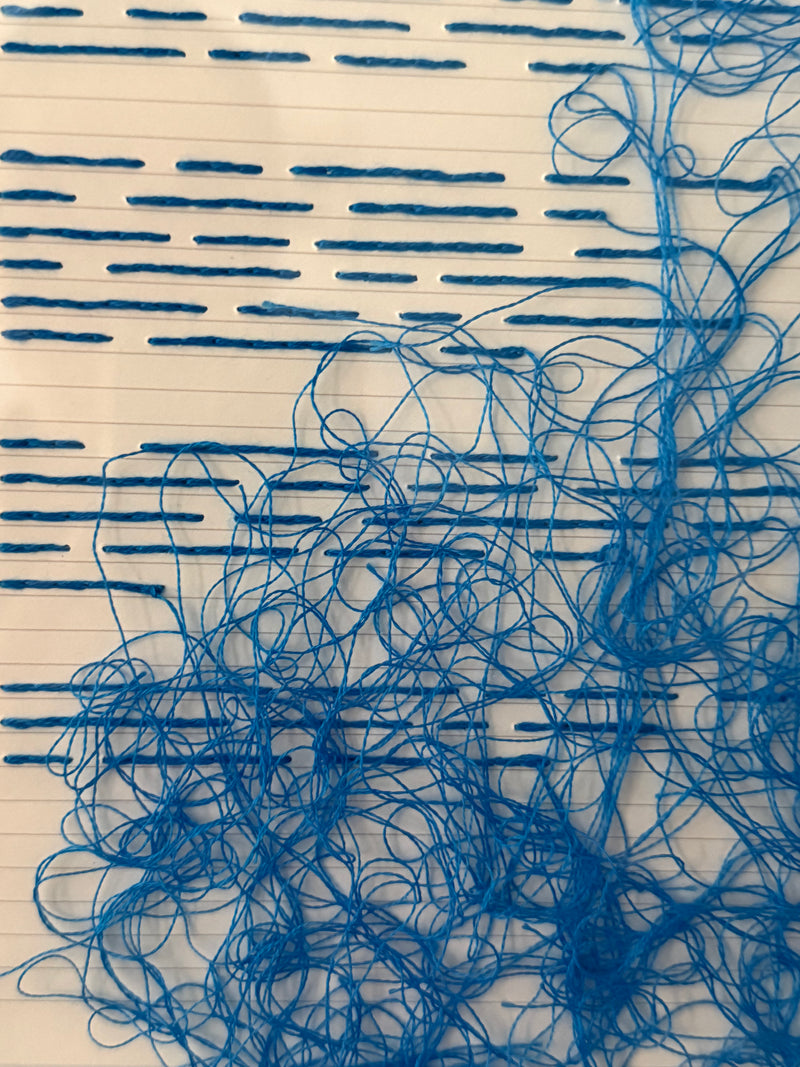 Texto Ilegible (Azul) - Luis Fernando Espinosa