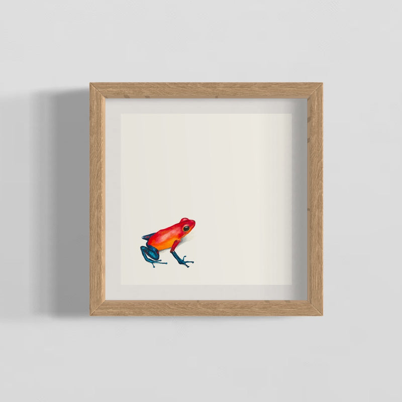 Blue Jeans Frog Print - Daniela Mejia