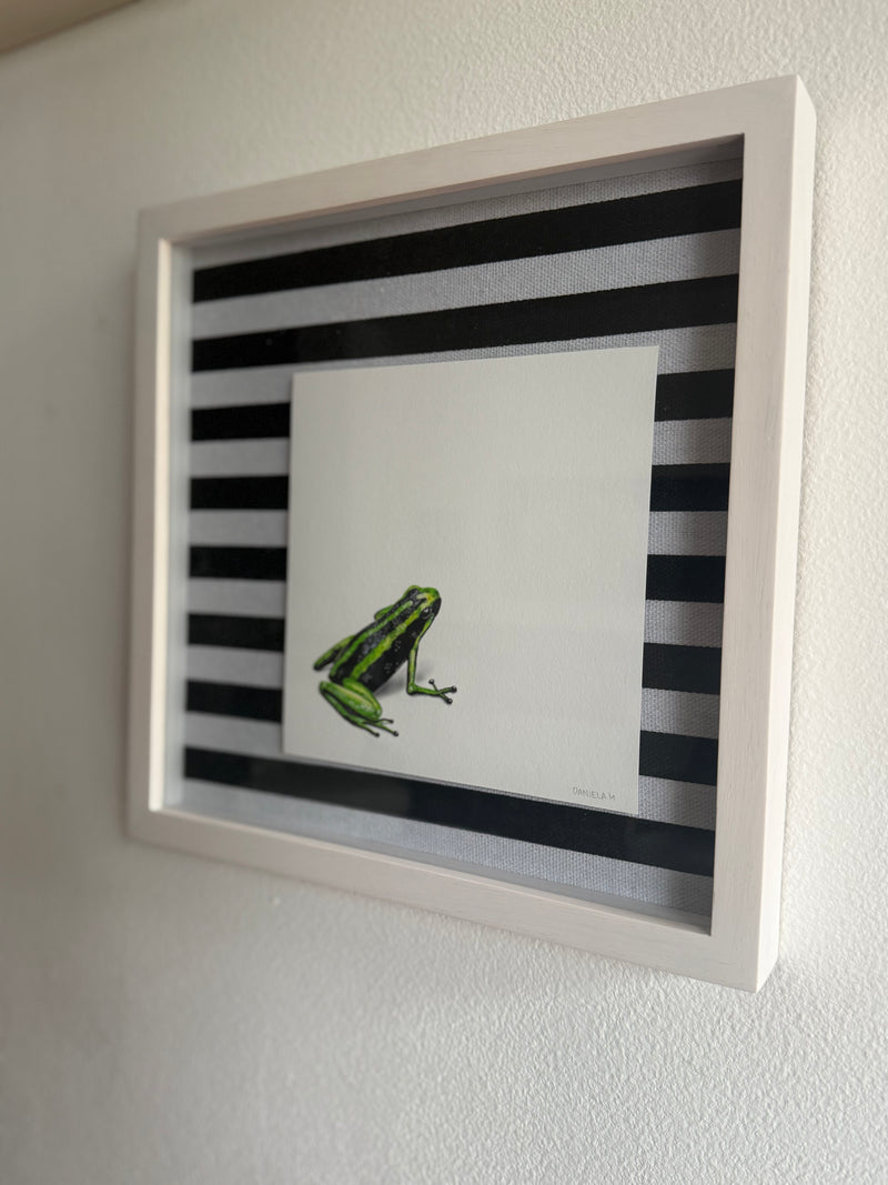 Rana Dardo - Daniela Mejia