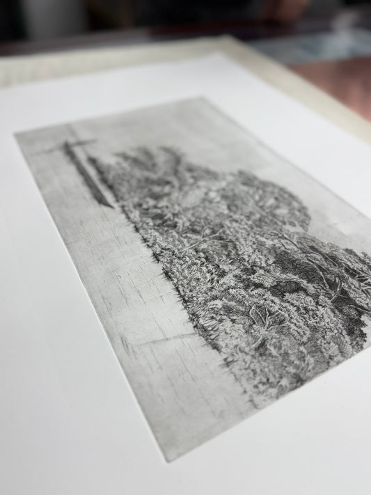 Travesía - Daniela Mejía