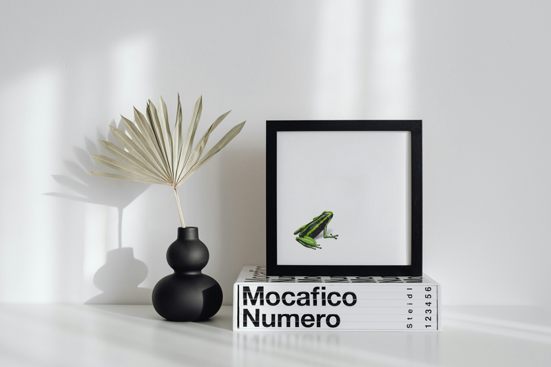 Rana Dardo - Daniela Mejia