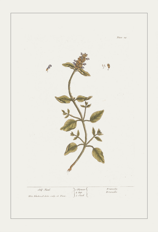 Selfheal
