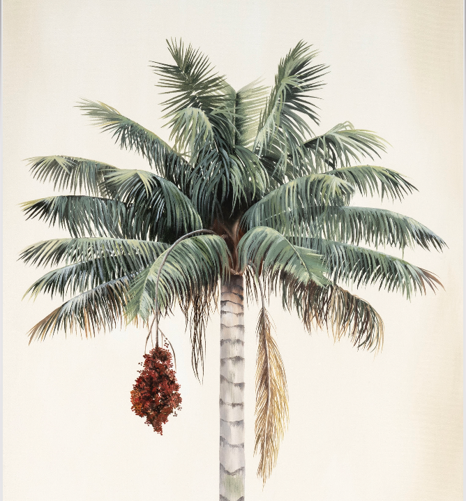 Alma de Cera (Cuadrada) - Daniela Mejía