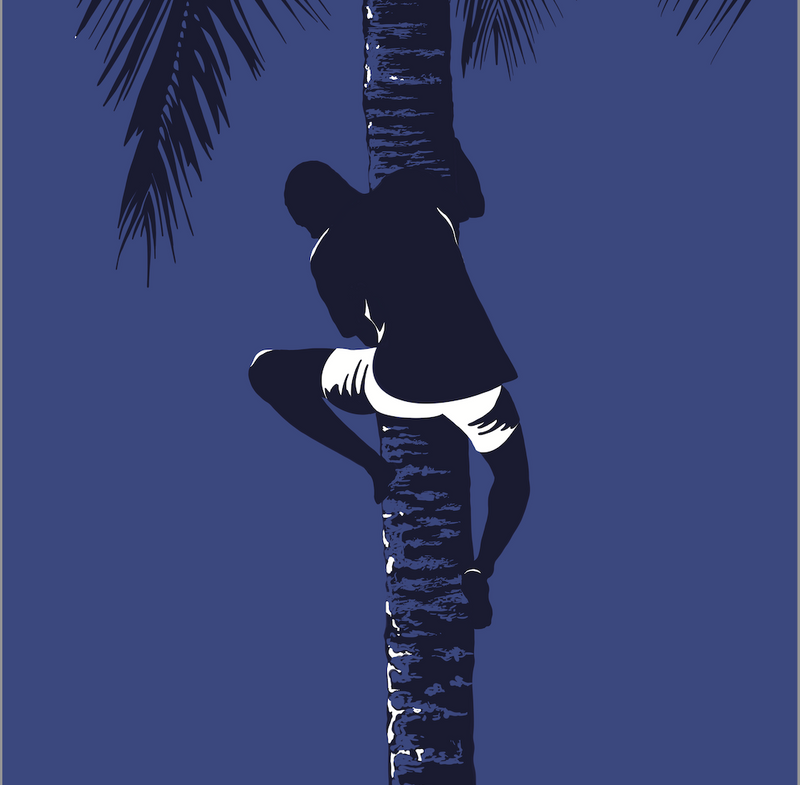 Ascenso - Daniela Mejia