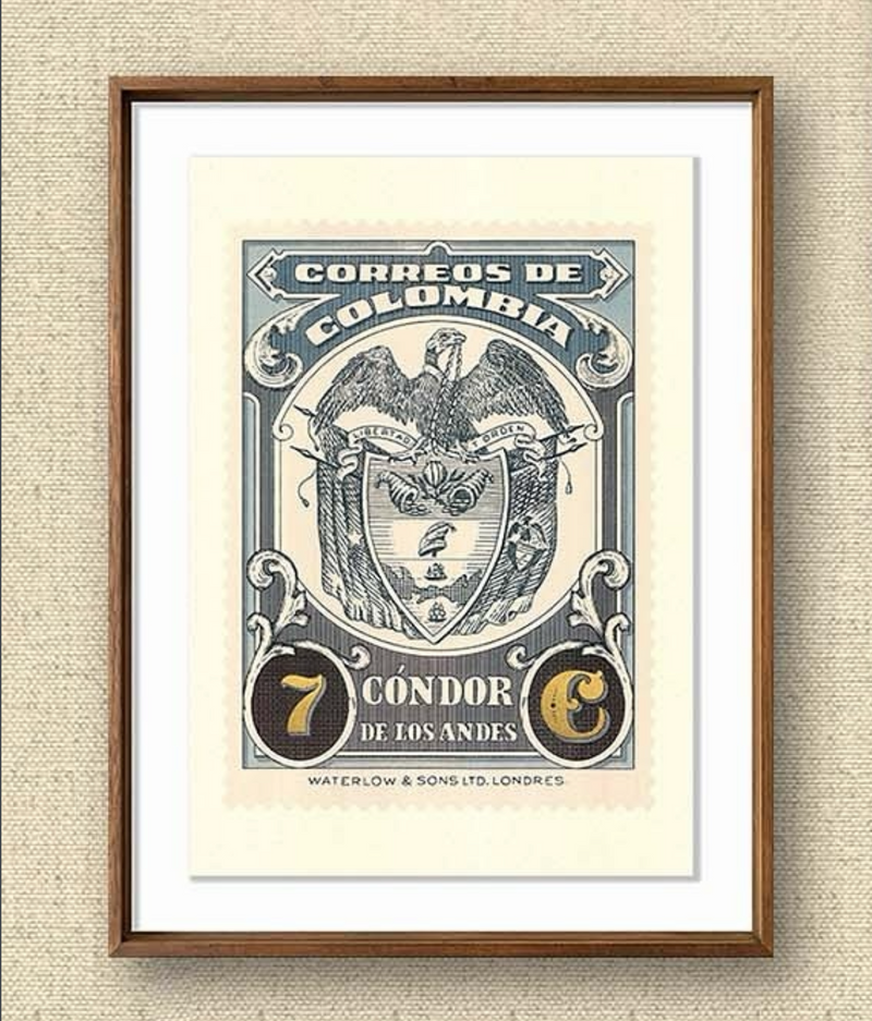 Cóndores Oro (Azul) - Rodrigo Spinel