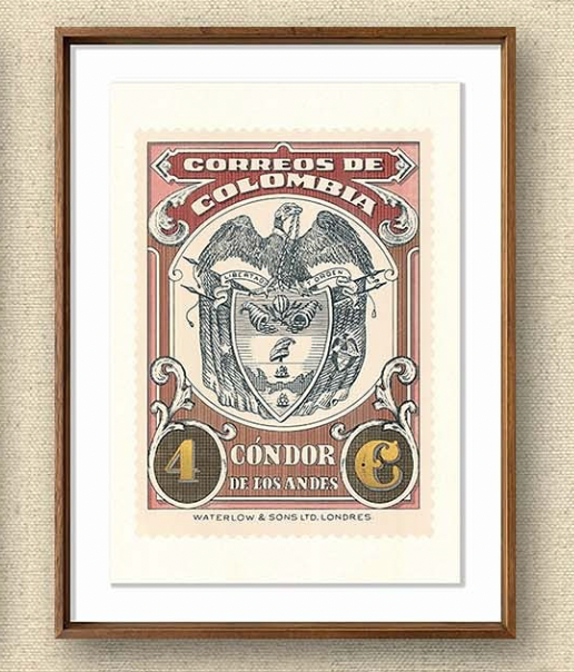 Cóndores Oro (Rojo) - Rodrigo Spinel