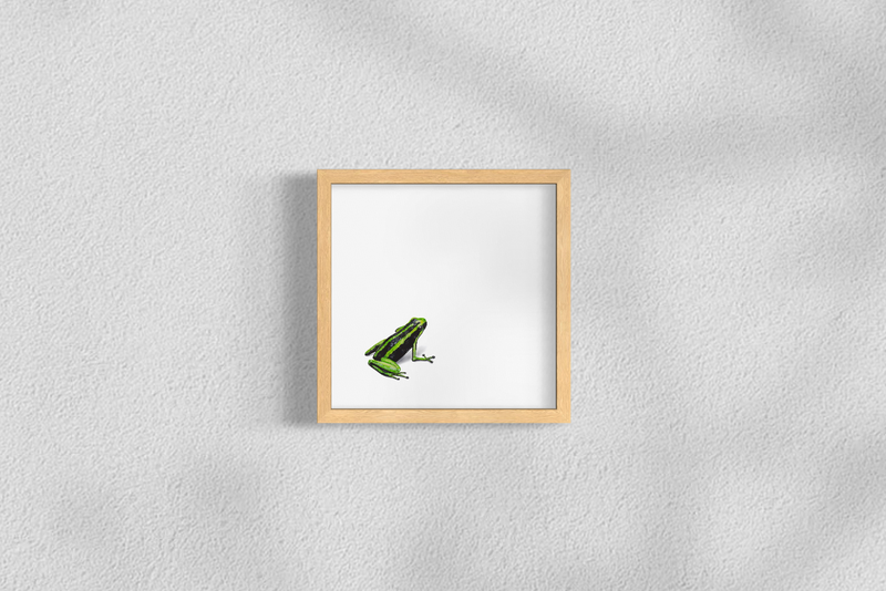 Rana Dardo - Daniela Mejia