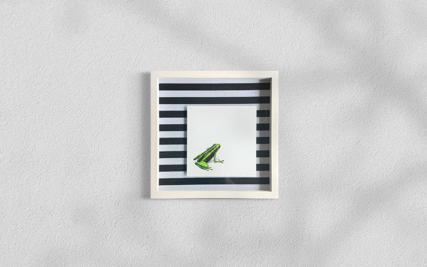 Rana Dardo - Daniela Mejia