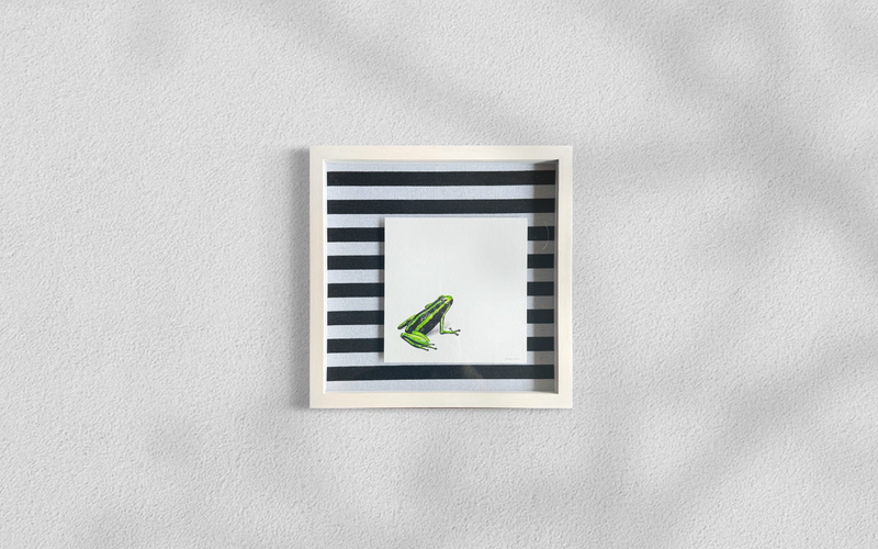 Rana Dardo - Daniela Mejia