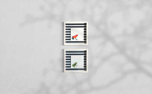 Rana Dardo - Daniela Mejia