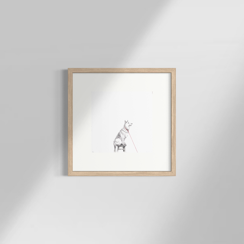 Tensión 1 - Carlos Alarcón