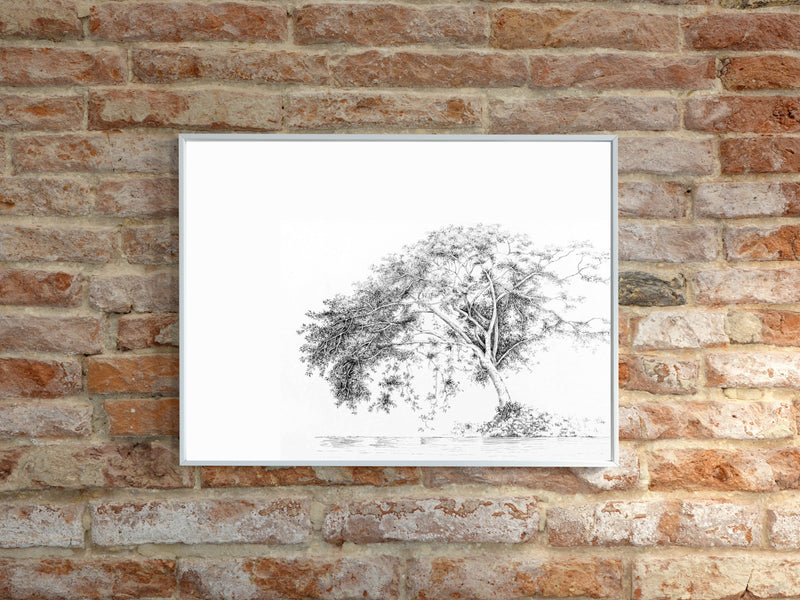 Arbol - Daniela Mejia