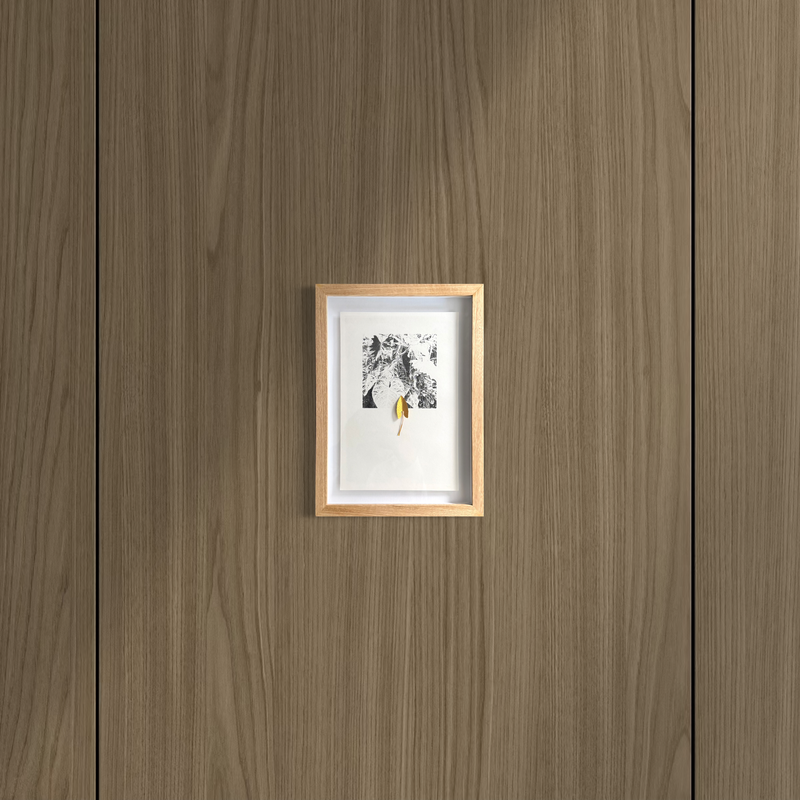 Escultura de papel I - Jairo Manzano