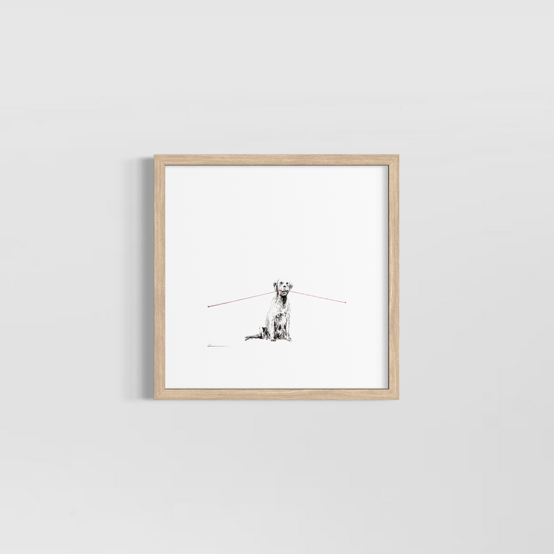 Tensión 2 - Carlos Alarcón