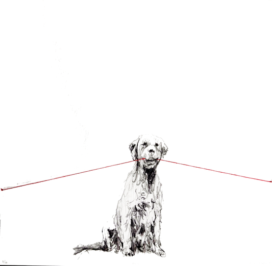 Tensión 2 - Carlos Alarcón