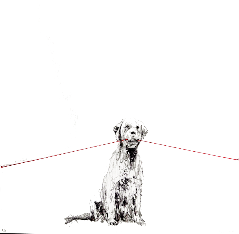 Tensión 2 - Carlos Alarcón