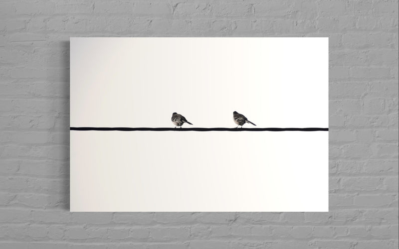 Free Bird I - Felipe Rey