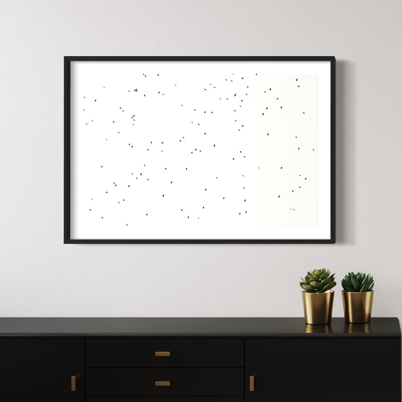 Free Bird IV - Felipe Rey