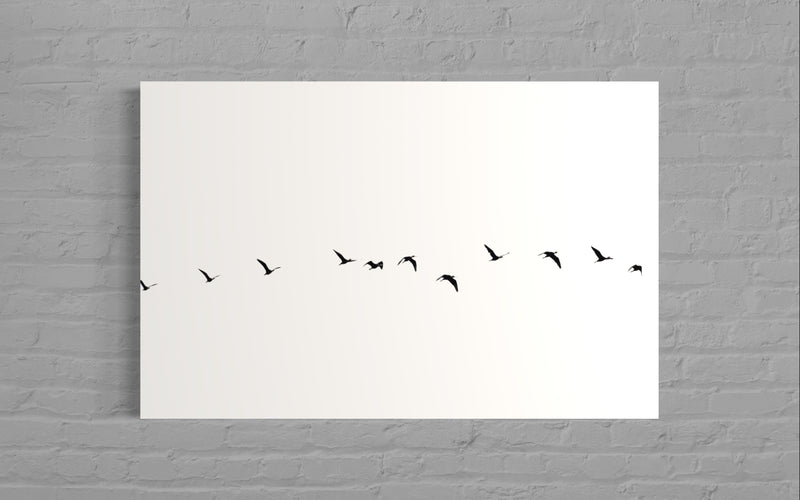 Free Bird III - Felipe Rey