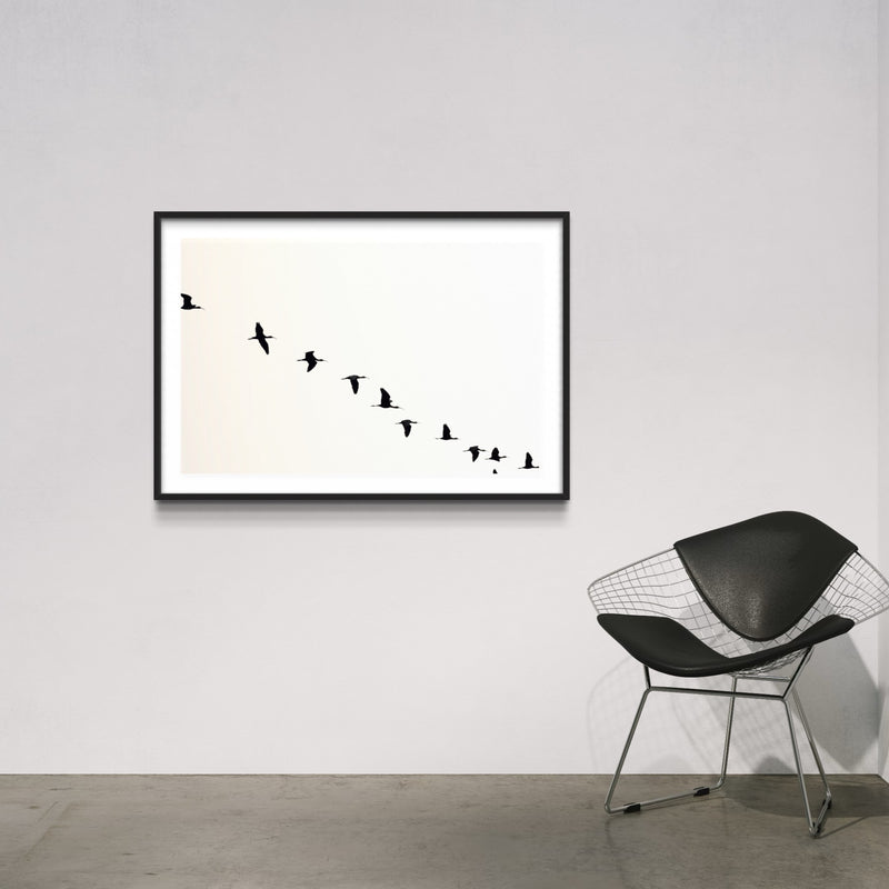 Free Bird II - Felipe Rey