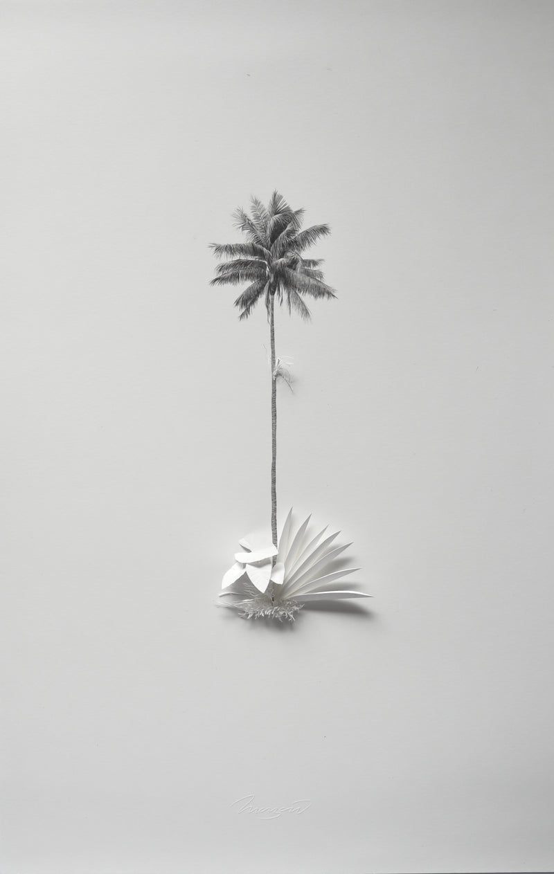 Emergente del Camino 1 - Jairo Manzano