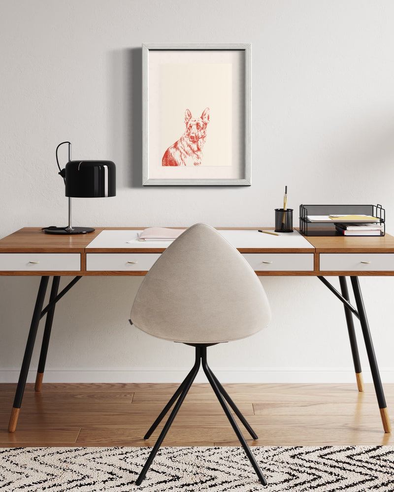 Pastor Alemán - Daniela Mejía