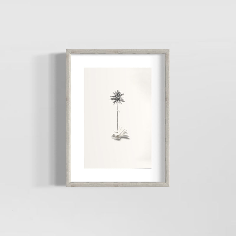 Emergente del Camino 1 - Jairo Manzano