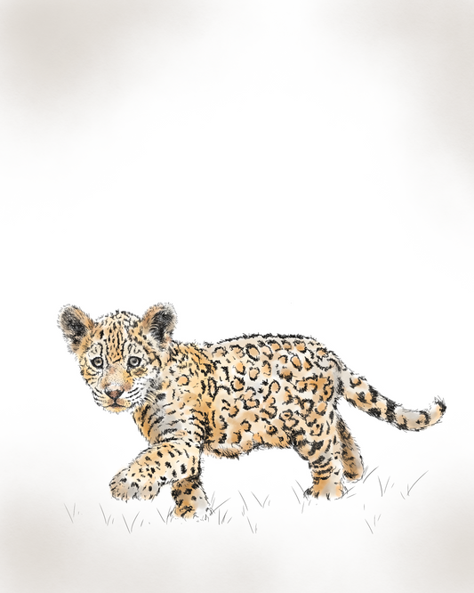Tiger Cub